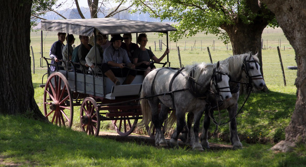 Día de Campo - Estancia El Ombú
