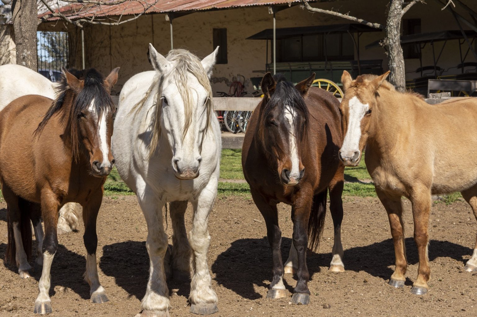 Estancia Hotel - San Antonio de Areco 6