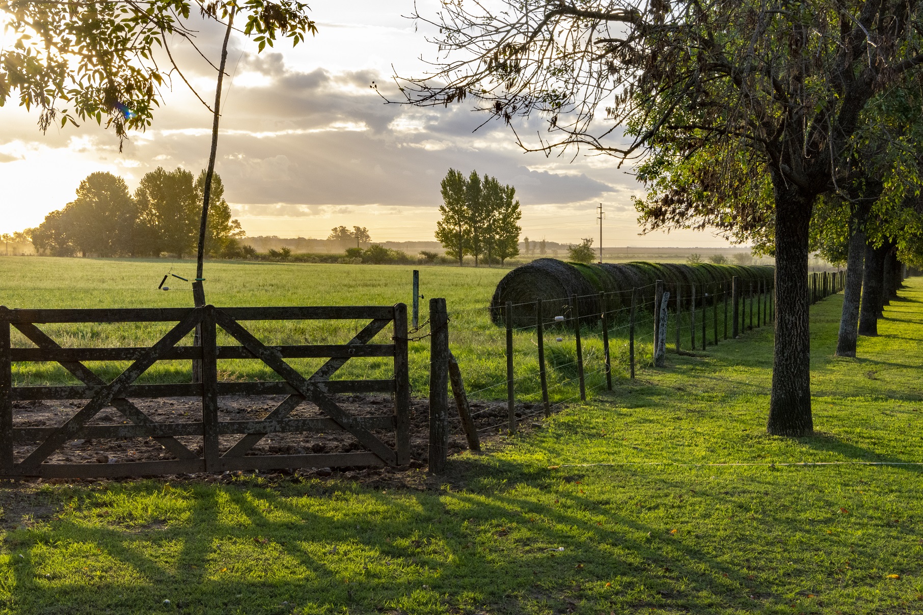 A day in the countryside - Estancia El Ombú