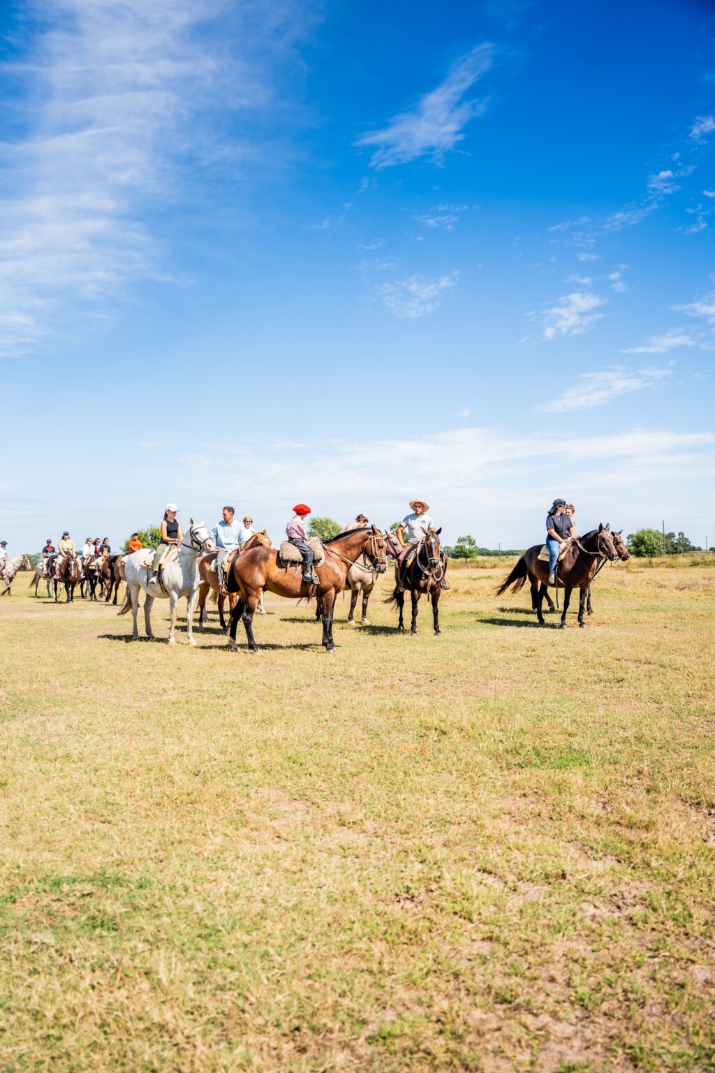 Ombu-de-Areco-2025-170