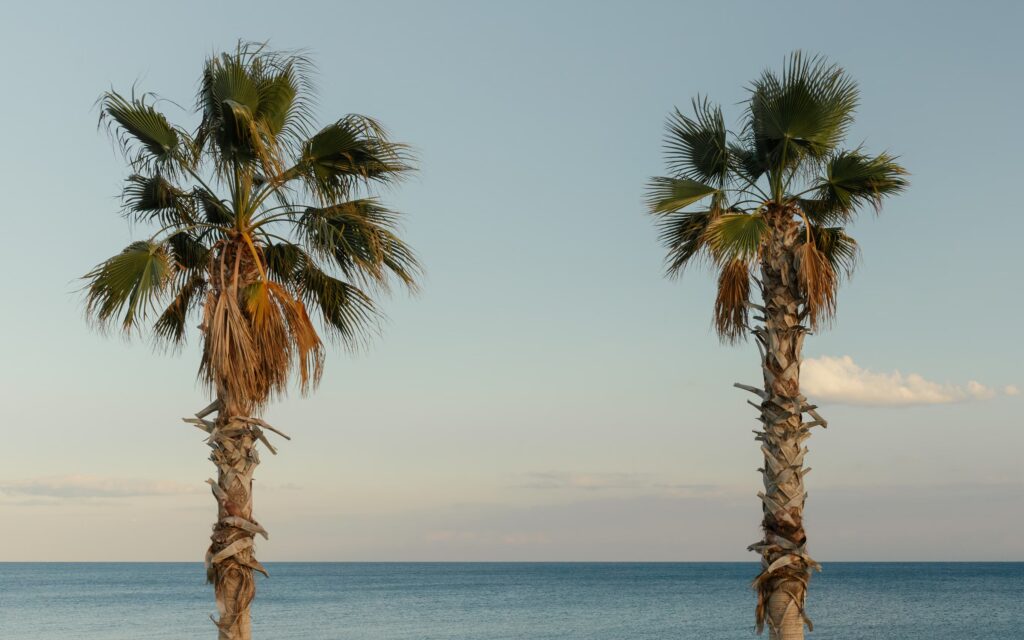 The Power of Branding