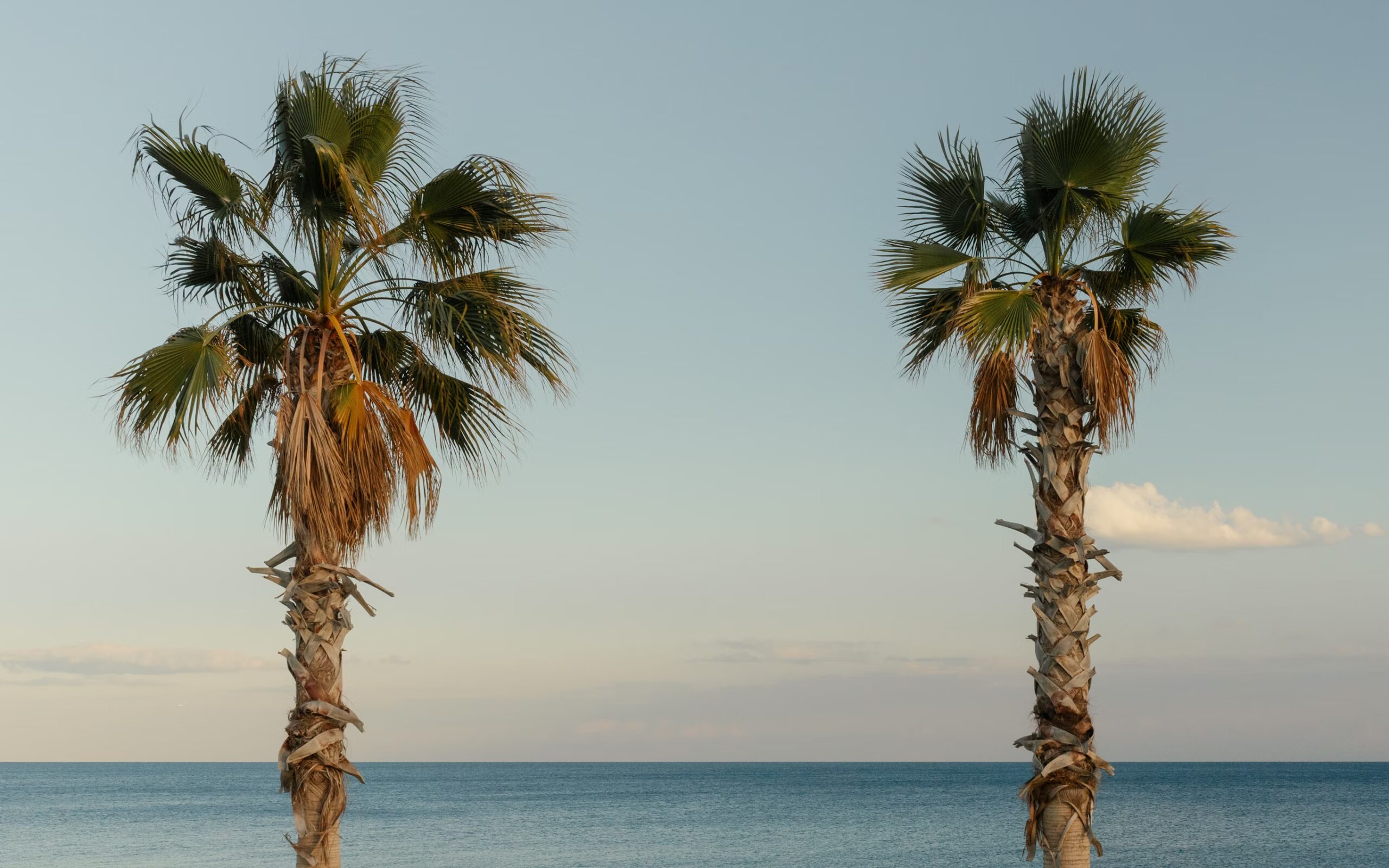 Tips for using our website