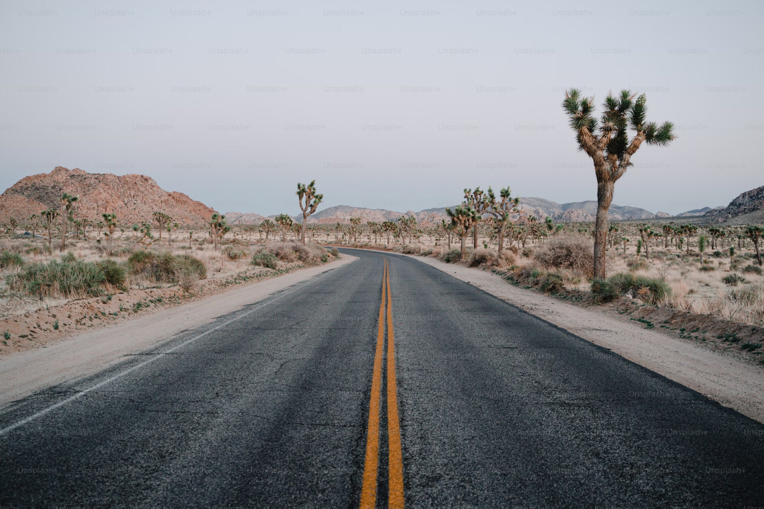 Working Remotely: Tips That Help